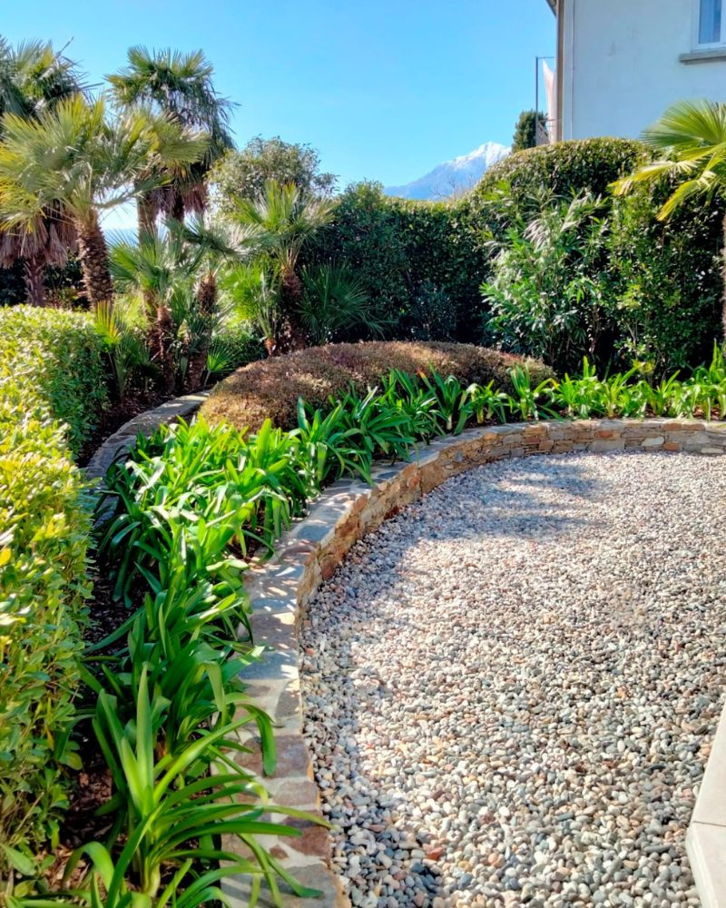 Senza titolo (800 x 2500 px) (708 x 7536 px) (708 x 1536 px) (800 x 1200 px) (800 x 1000 px) (3)